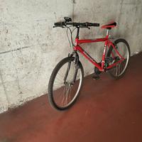 Bicicletta mountain bike