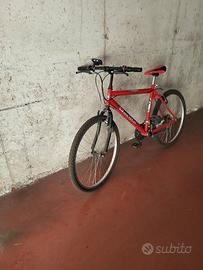 Bicicletta mountain bike