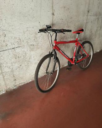 Bicicletta mountain bike