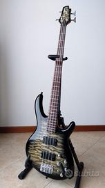 Basso CORT Action DLX Plus