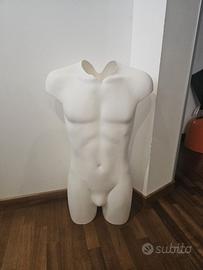 Manichino Busto Uomo