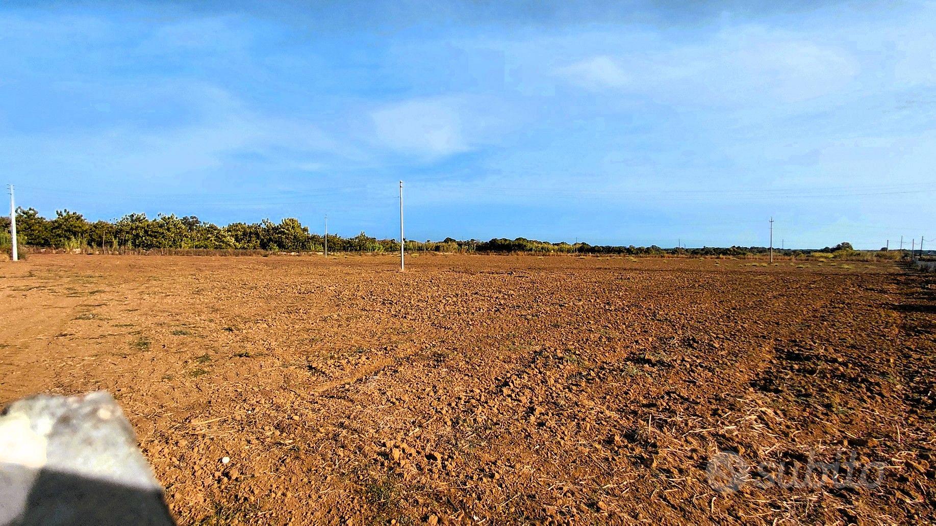 Terreno Agliadò 18300mq - Vista 5