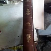 LIBRO da collezione PISA MARINARA