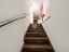 Immagine 8