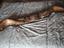 Immagine 2