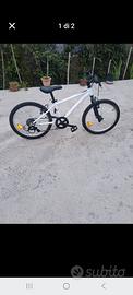 bicicletta Nr 20