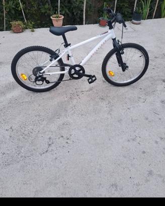 bicicletta Nr 20