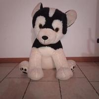 peluche cane husky gigante