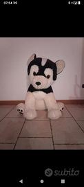 peluche cane husky gigante