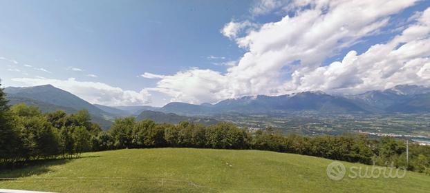 Terreno boschivo di 15.000 mq