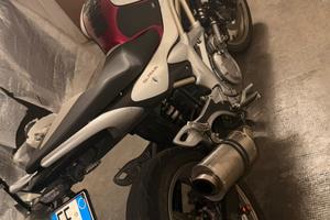 "Suzuki sfv Gladius 650"