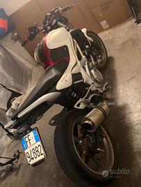 "Suzuki sfv Gladius 650"