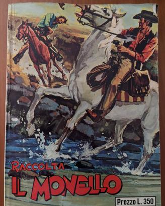 Raccolta il monello