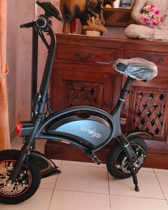 bicicletta elettrica 