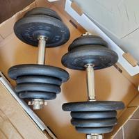 Pesi manubri in ghisa da 50 kg