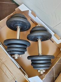 Pesi manubri in ghisa da 50 kg