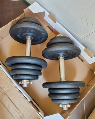 Pesi manubri in ghisa da 50 kg