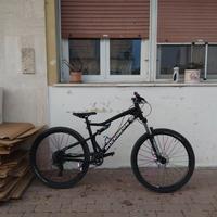 wheelie bike/mtb