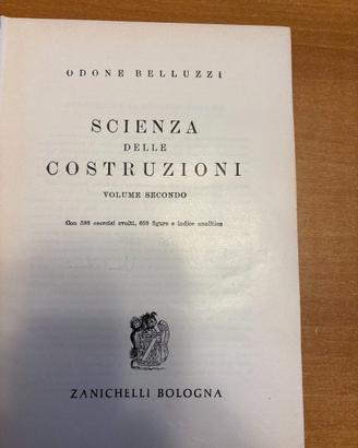 Libro del prof. Odone Belluzzi.