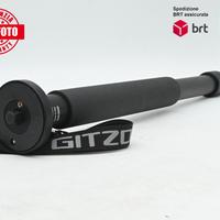 Monopiede Gitzo GM2541 6X Carbon Fiber