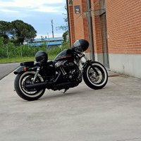 Harley Davidson 48