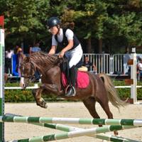 Cavalla pony da salto