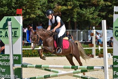 Cavalla pony da salto