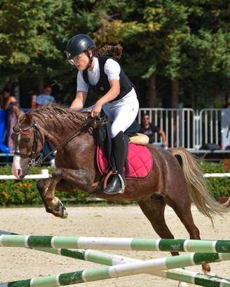 Cavalla pony da salto