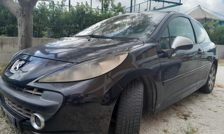 Peugeot feline 207