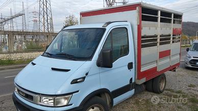 camioncino trasportano animali