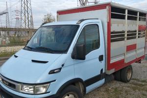 camioncino trasportano animali