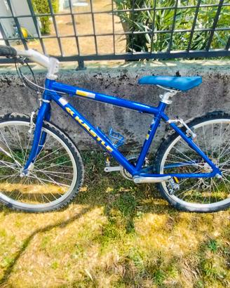 Mountain bike vitange kastle 26