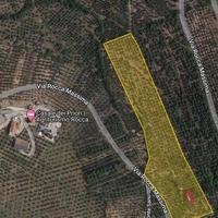 Magazzino C2 eTerreno Agricolo Uliveto 3 Ettari
