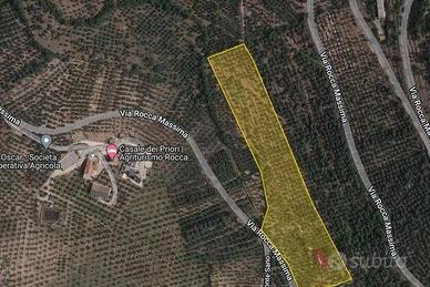 Magazzino C2 eTerreno Agricolo Uliveto 3 Ettari