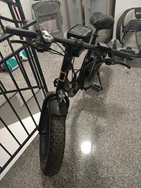 Bicicletta elettrica con pedalata assistita 