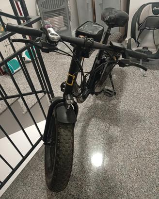 Bicicletta elettrica con pedalata assistita 