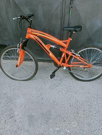 bicicletta
