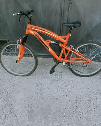 bicicletta