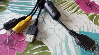 Collegamenti per Kodak e Sony