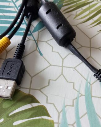 Collegamenti per Kodak e Sony