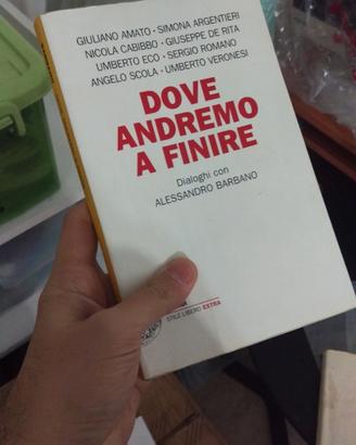 Libro Usato - Dove andremo a finire - A.Barbano