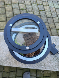 Teca insetto domestico