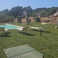 Proprietà unica nel suo genere