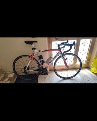 Pinarello bici da corsa