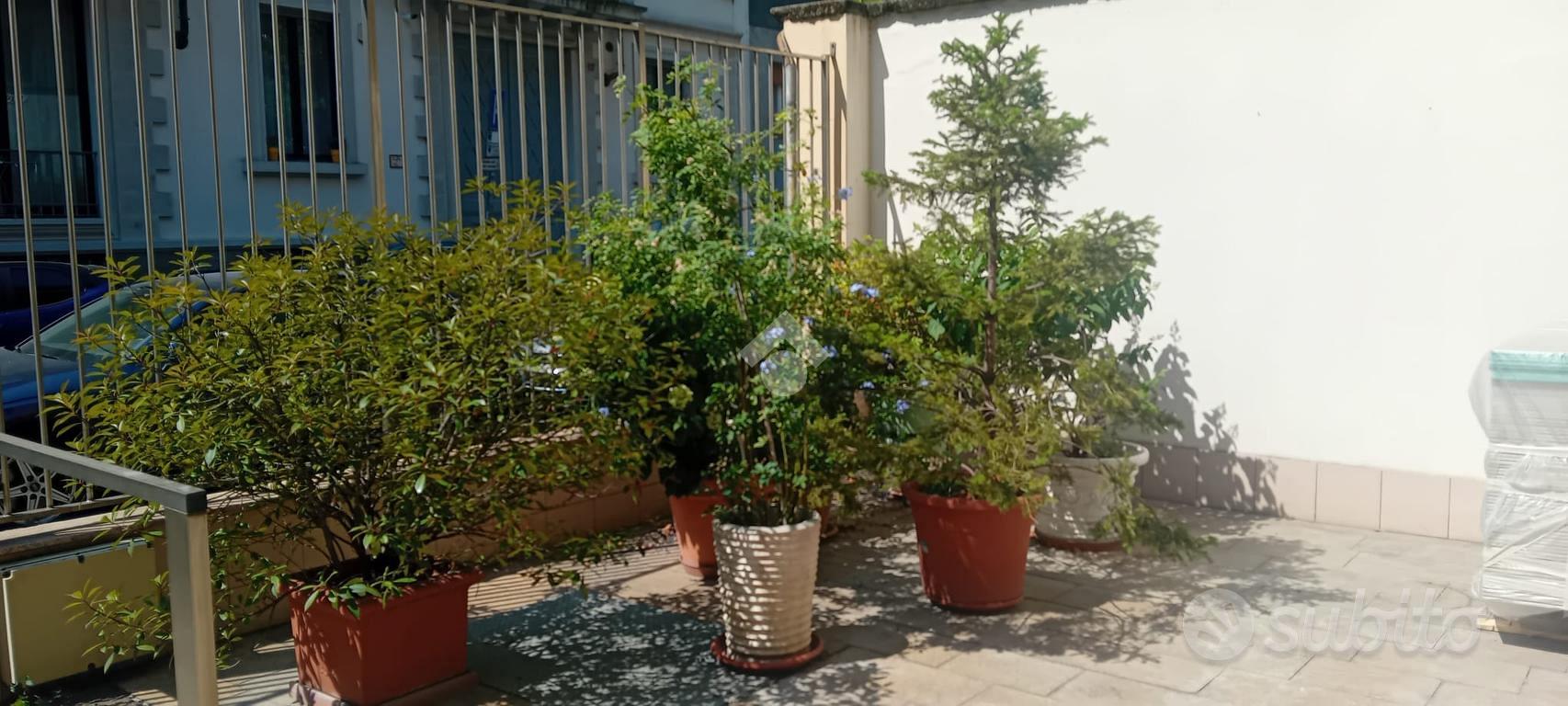 Appartamento – Milano, Nolo, Municipio 2 - Vista 3