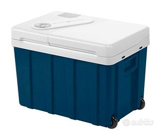 Frigorifero Portatile Elettrico 39 L Mini Frigo