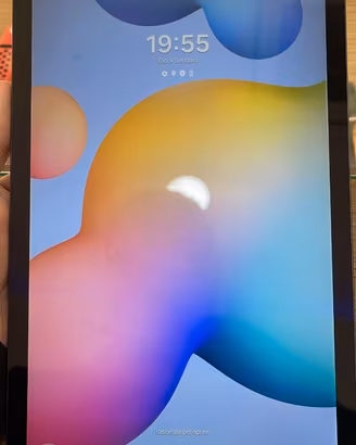 SAMSUNG TAB S6 LITE 64GB USATO N 7923