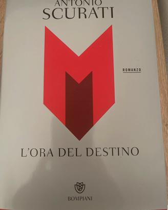 IV libro drlla serie M