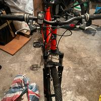 Bici come nuove. Tutte e due o singolarmente