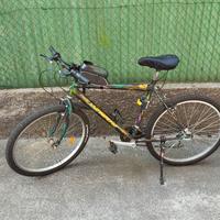 bicicletta Mountain bike 